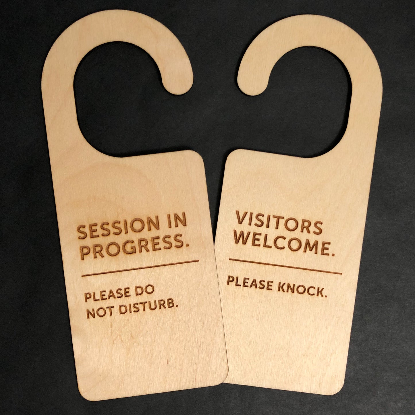 Session In Progress, Do Not Disturb Sign, Please Knock, Work Door Hanger, Office Sign